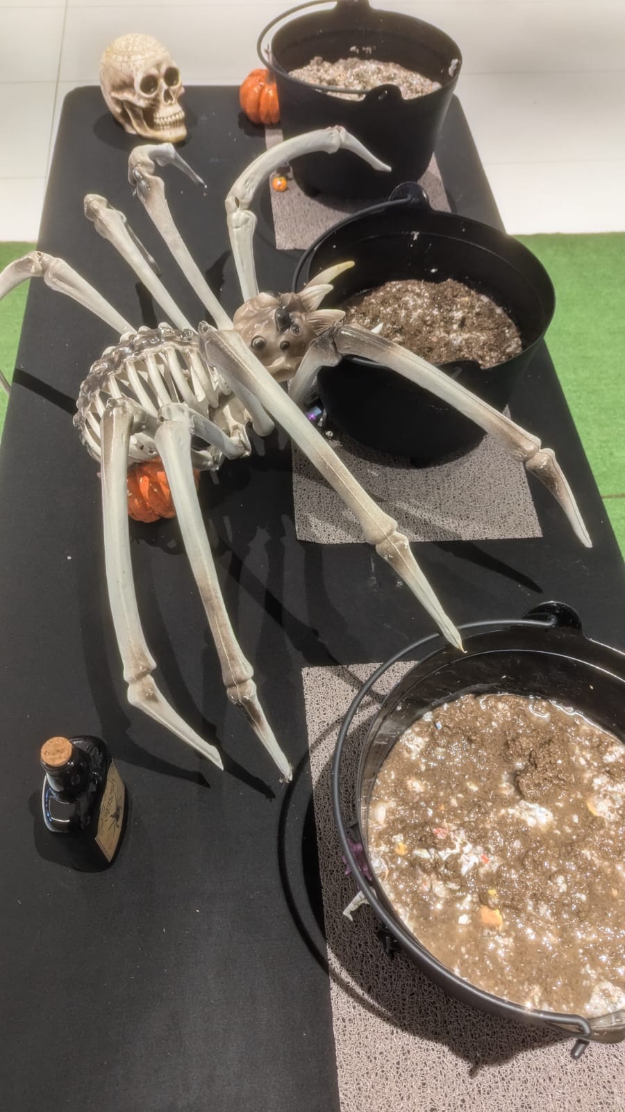Family Day Circles pour Halloween Le Chaudron araignée 2024