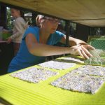 Lire la suite à propos de l’article Organiser un family day écologique